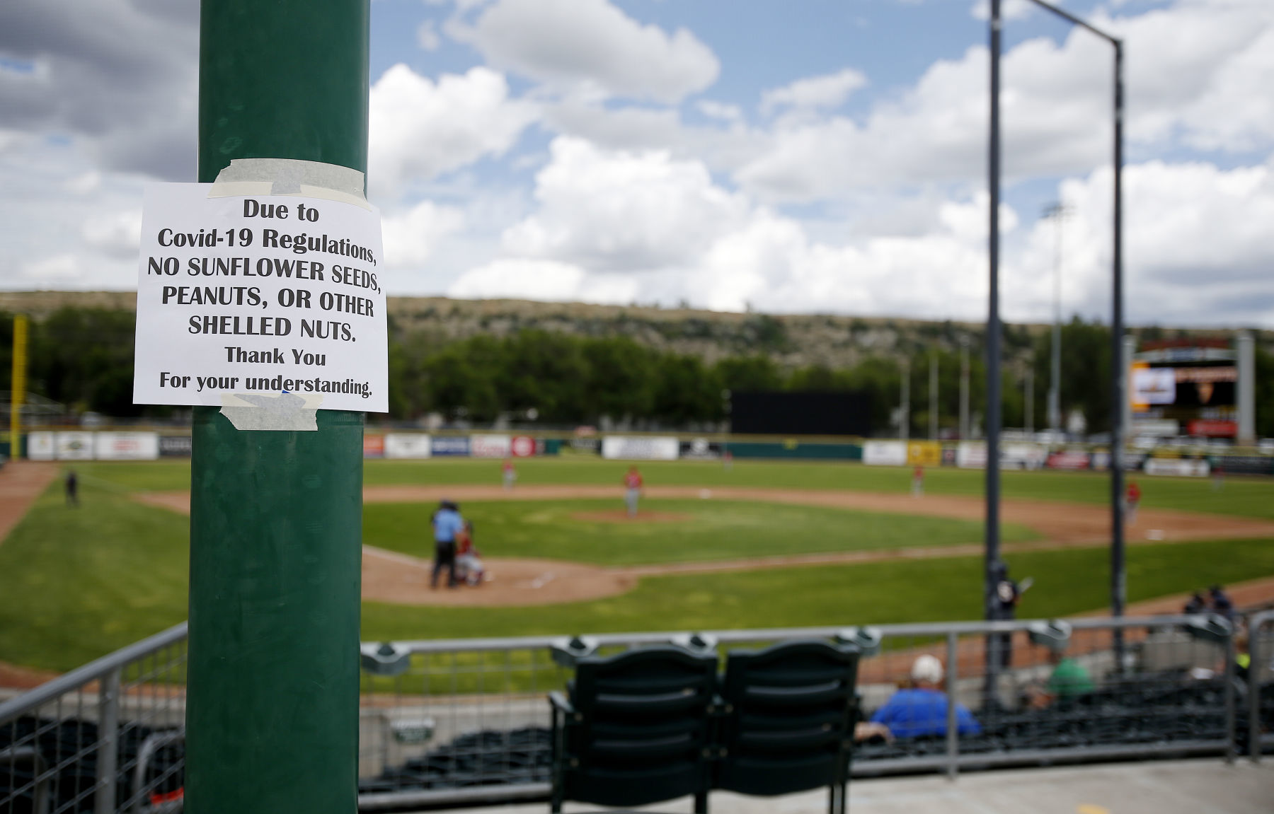 Legion baseball